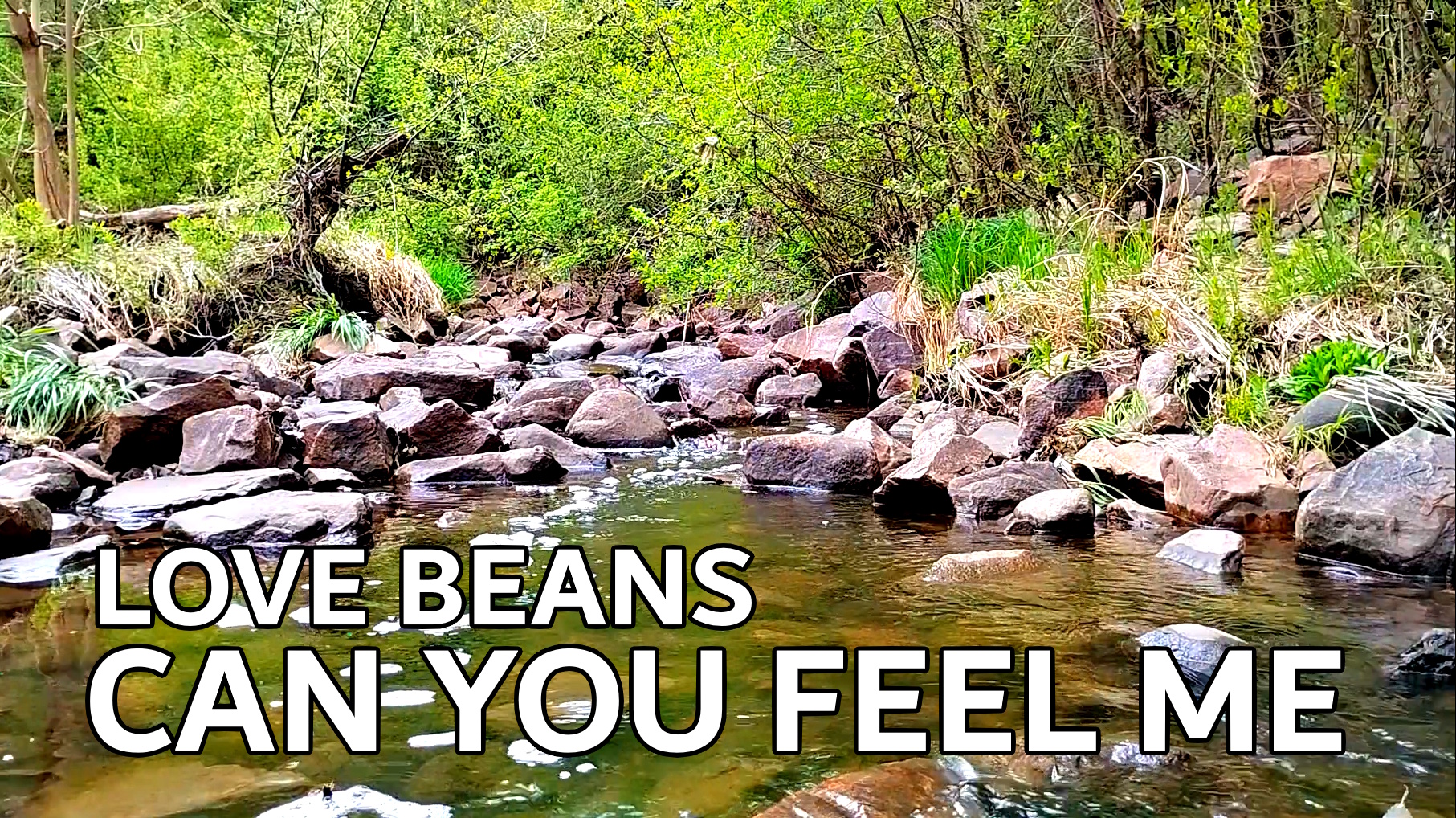 Can You Feel Me (Instrumental) - Love Beans | Laid-Back Spring Creek Background