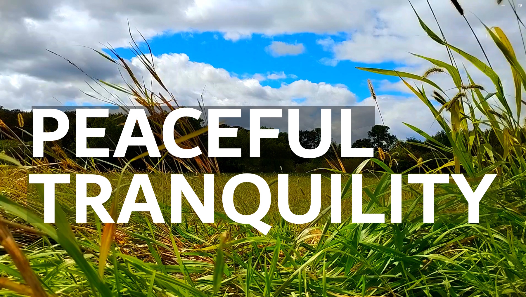 Autumn Fields & Drifting Clouds Timelapse