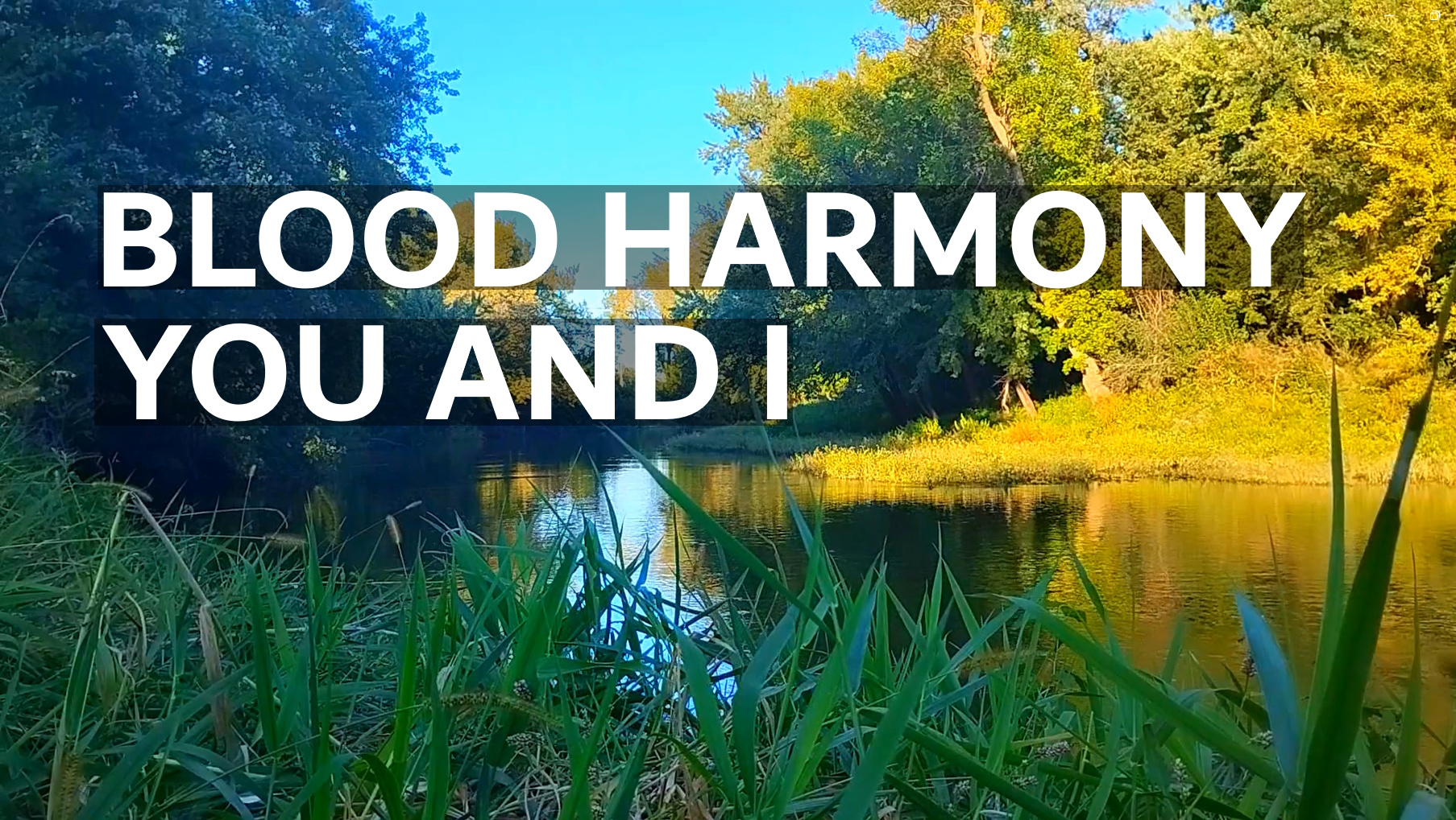 Fall Colors & Gentle River Flow | Instrumental Country Music